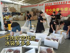 夏季高溫冷鏈牛肉航空托運