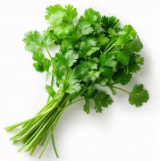 易腐農產品-兩噸香菜航空托運